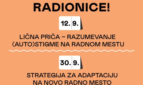 viz radionice-04